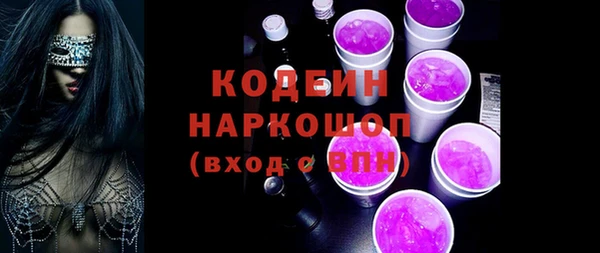 гашик Горняк