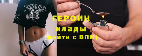 гашик Горняк