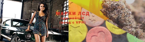 гашик Горняк
