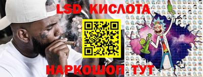 гидра Будённовск