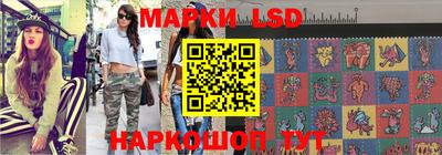гидра Будённовск