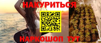 гидра Будённовск