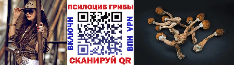 Псилоцибиновые грибы Psilocybe  Губкин 