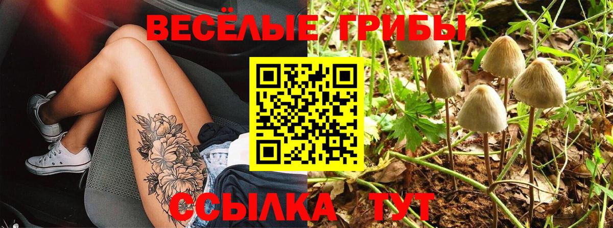 Псилоцибиновые грибы GOLDEN TEACHER  Псилоцибиновые грибы Psilocybine cubensis  Губкин 