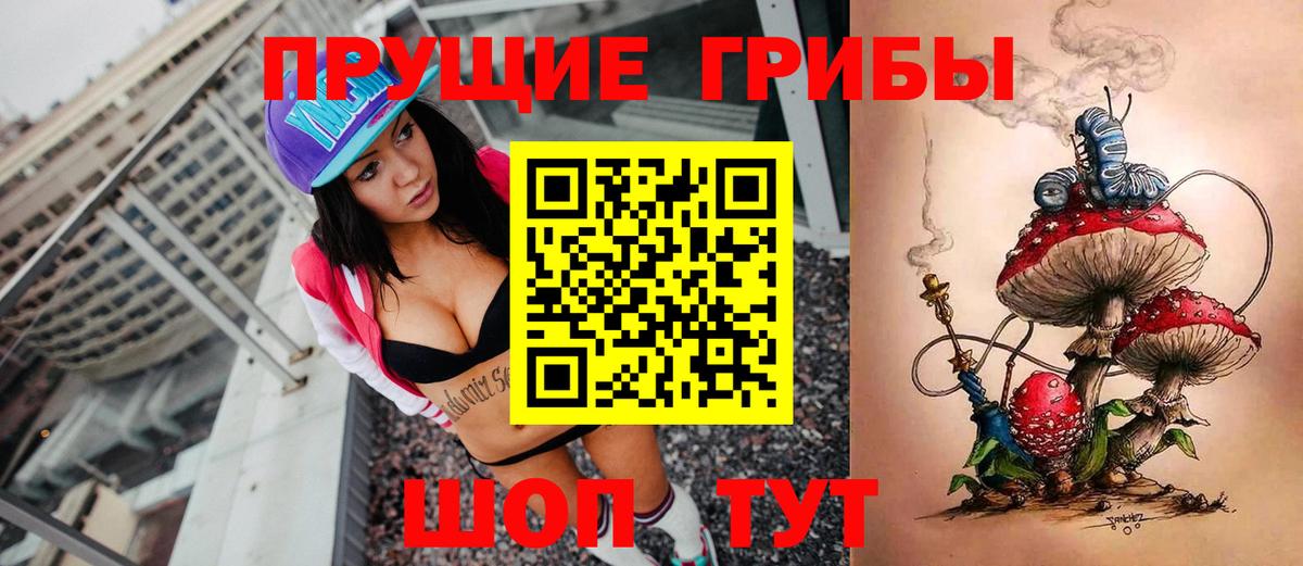 Губкин  Галлюциногенные грибы ЛСД  Галлюциногенные грибы мицелий  Вход с VPN 